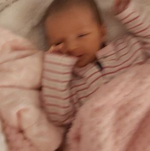 Meet your Posher, Bruno